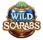 Wild Scarabs